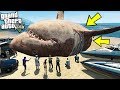 Resized Megalodon Shark [MEG: Monster of the Depth] 4