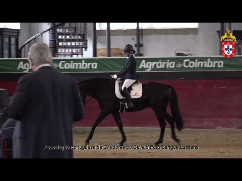 231021 1 Jaguar - Aprovação de Reprodutores