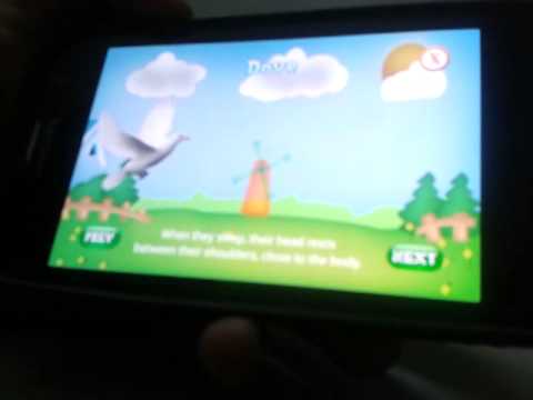 Kids Animal Zoo Video