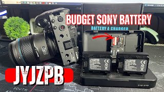 Can This Affordable Battery Beat Sony’s Pricey Ones? JYJZPB #fx30