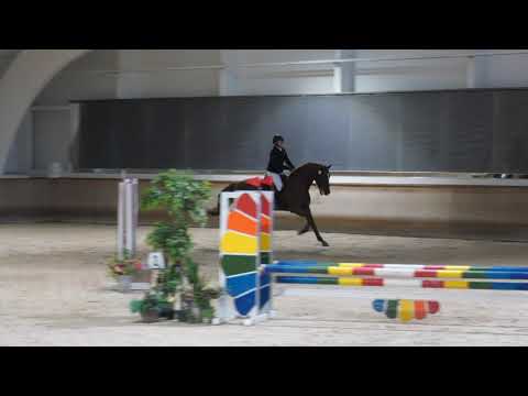 Kemppi Katja & Tay Malaysia 80cm @ Stable Nova 30.-31.10.2021