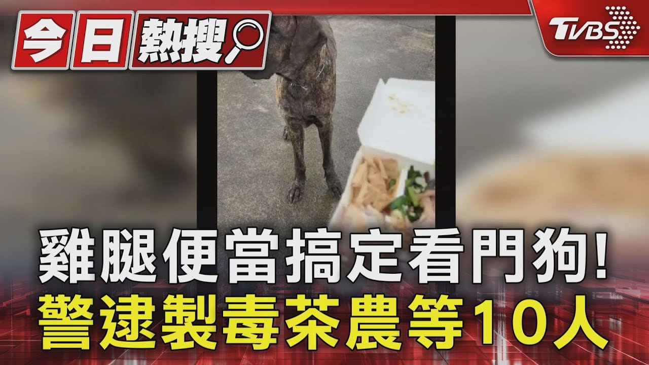 雞腿便當搞定看門狗!警逮製毒茶農等10人