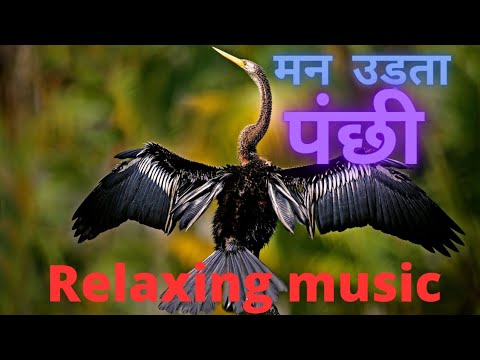 Motivational Music  For Creativity and Studying | flute music