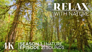 True Beauty of Planet Earth - 4K Sceneries + Calming Sounds - RELAX WITH NATURE - Season 1 Episode 2