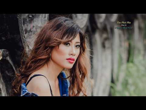 Thu phôi pha Sheet - Khắc Dũng