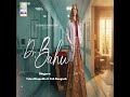 Mil Hi Lo Original Soundtrack From Doctor Bahu
