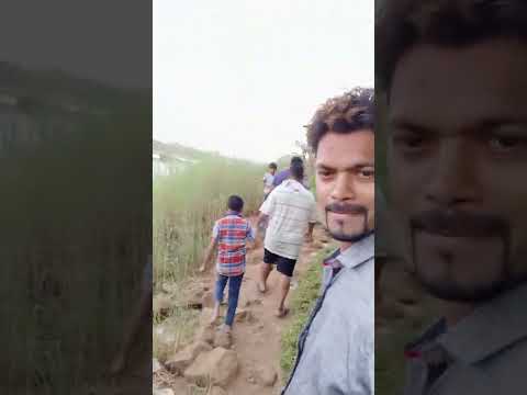 Jungle safari 🦜💯💥🍀🦓🐯🦕🐴🐸🦎🦁🐺 #mumbai #short #viral #junglesafari #jungle