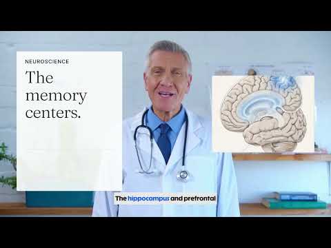 Memory, Blood Pressure, and the Brain