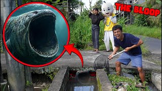 Download lagu THERE'S A BLOOP IN THE DRAIN IN FRONT OF UPLIN'S HOUSE?! mp3 Download lagu THERE'S A BLOOP IN THE DRAIN IN FRONT OF UPLIN'S HOUSE?! mp3