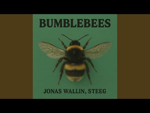 Bumblebees