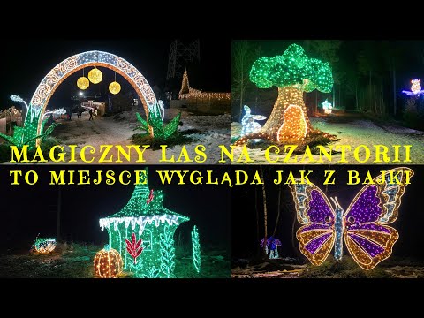 🇵🇱 🌲🦋✨ MAGICZNY LAS NA CZANTORII 2025 – TO MIEJSCE WYGLĄDA JAK Z BAJKI BESKID ŚLĄSKI