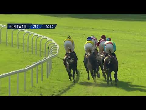 NAGRODA EUROPEJCZYKA – (KAT. B)