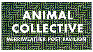 Animal Collective - Summertime Clothes (Edited)