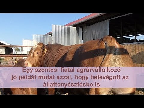 A prosztata húgyhólyag árai