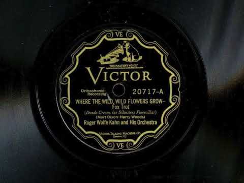 Where The Wild, Wild Flowers Grow by Roger Wolfe Kahn and His Orchestra, 1927