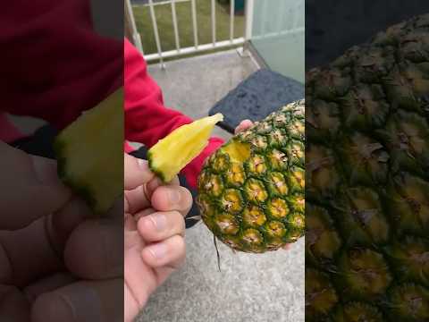 How to actually open a pineapple
