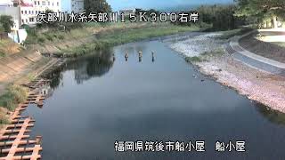 動画のサムネイル