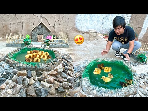 Mud House Ky Pool Me Duck Baby Agea 😍