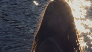 Memoryhouse - Radium Girls