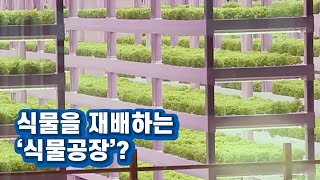 효율적인 생산량을 자랑하는 미래형 농업  / YTN 사이언스