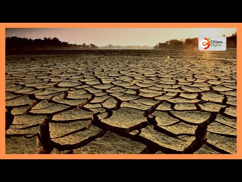 Northern Kenya MPs warn of drought, urge disaster declaration