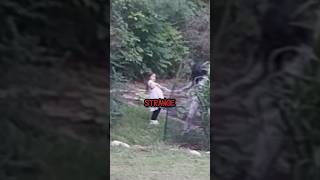 Download lagu Skinwalker Tried To Possess His Daughter #shorts mp3 Download lagu Skinwalker Tried To Possess His Daughter #shorts mp3