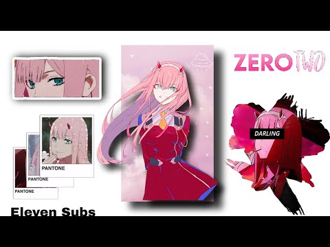 Pedido 18 Carbon Copy Zero Two ✨