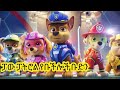Teret Teret Amharic ፓው ፓትሮል የቡችሎች ቡድን Paw Patrol Amharic Stories