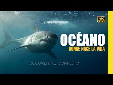 OCÉANO: El Viaje Más Salvaje del Planeta Azul | Documental Subtitulado