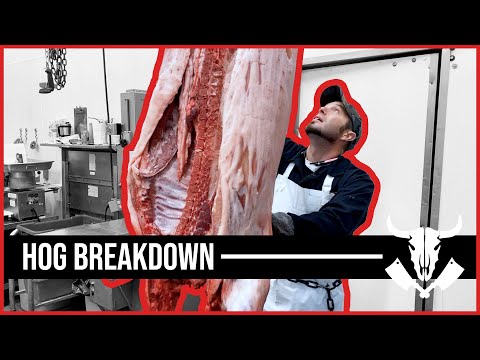 Hog Breakdown - Carcass Breakdown - Whole Carcass