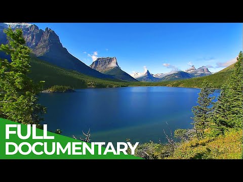 The National Parks America's Wildlife Refuge