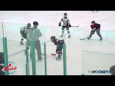 2019 MAHA Squirt AA state championship - Saginaw Jr  Spirit vs  HB Hockey