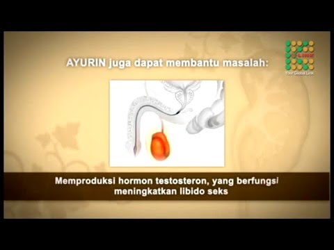Obat tradisional untuk meningkatkan resep potensi Apa persiapan yang lebih baik untuk potensi