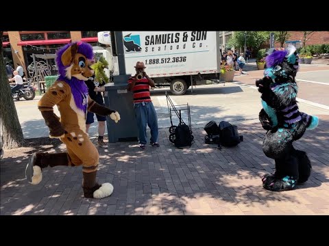 Anthrocon 2022 - Strobes & Gale Frostbane Busting Some Moves!