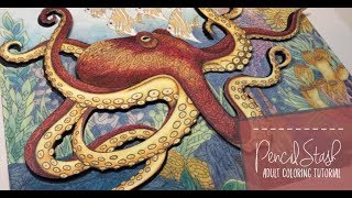 Creating a 3D OCTOPUS with COLORING BOOK CAFE! - A PencilStash Tutorial