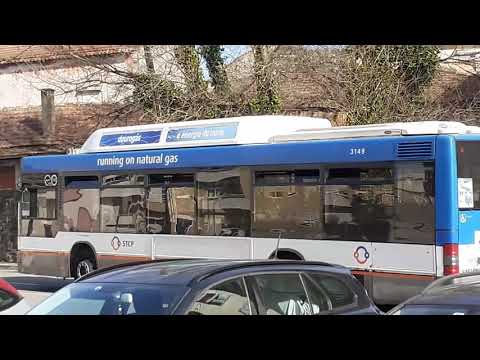 STCP Linha 805 Veículo 3149