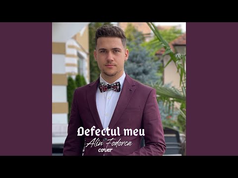 Defectul Meu (Cover)