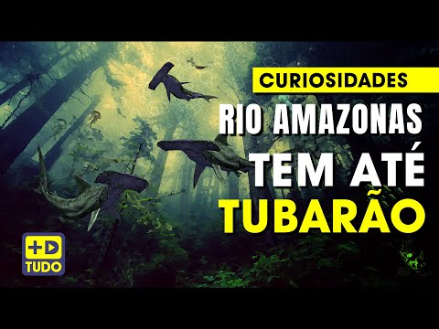 Curiosidades do rio Amazonas