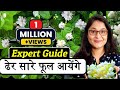 7 TIPS TO GROW MOGRA PLANT JASMINE PLANT HOW TO CARE MOGRA मोगरा Garden Jasmineplant Mogra
