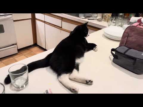 Zuko thinks it’s his kitchen