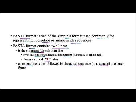 What is FASTA Format ?