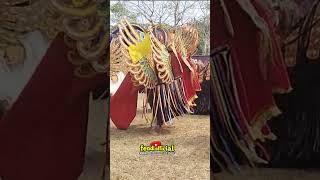 Download lagu Barong sumur#barongbanyuwangi #jarananbanyuwangi #shortvideo mp3