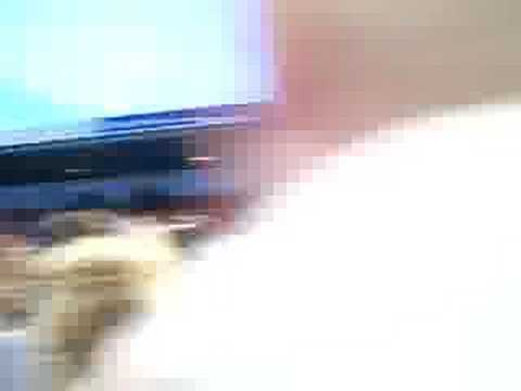 Heracles Almelo Kampioen deel 3