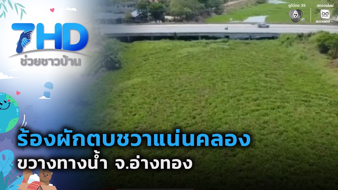 ร้องผักตบชวาแน่นคลอง ขวางทางน้ำ จ.อ่างทอง | 7 สีช่วย