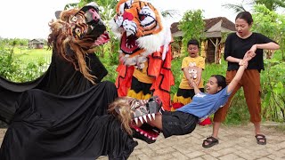 Download lagu Short Film | THE APPEARANCE OF BARONGAN KUMANTORO HUNTING FOR PREY ON EARTH | BARONGAN RAMPAGE mp3