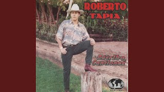 Serenata A La Madre Lyrics English Translation