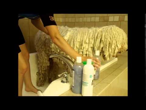 {$row[$i]['name'], ENT_QUOTES,'utf-8'); ?>