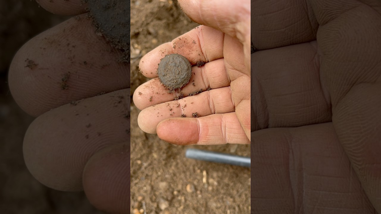 CIVIL WAR Buttons Dug! Metal Detecting EPIC “Button Dump” CSA Relics Treasure Hunting Rockstar Tesla