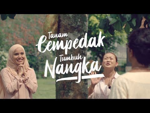 Tanam Cempedak Tumbuh Nangka | CIMB Hari Raya 2018