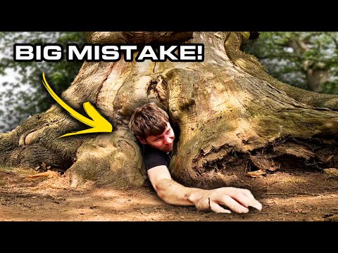 ACTUALLY STUCK in a tree! (Claustrophobic Warning) 🌳🇬🇧